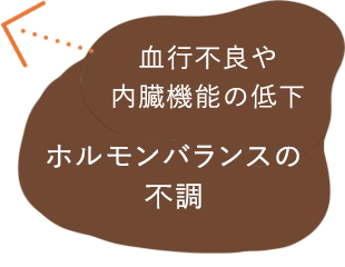血行不良や内臓機能の低下